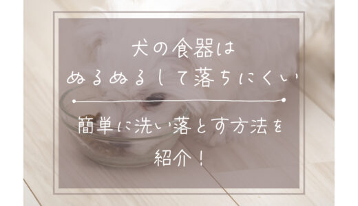 犬の食器はぬるぬるして落ちにくい！簡単に洗い落とす方法を紹介